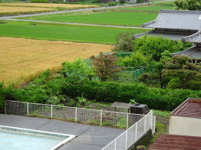 DSC01809