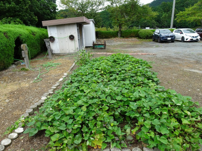 DSC02431